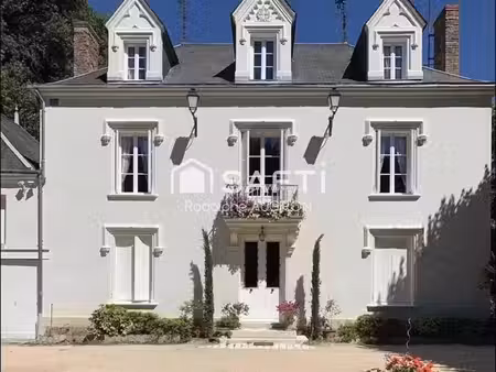 vente maison 12 pièces 281 m² angé (41400)