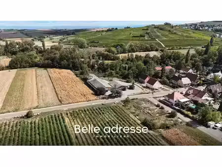 vente locaux professionnels 5 pièces 900 m² à odratzheim (67520)  864 000 €