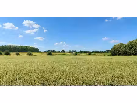 terrain agricole à vendre à haillot pour € 54.890