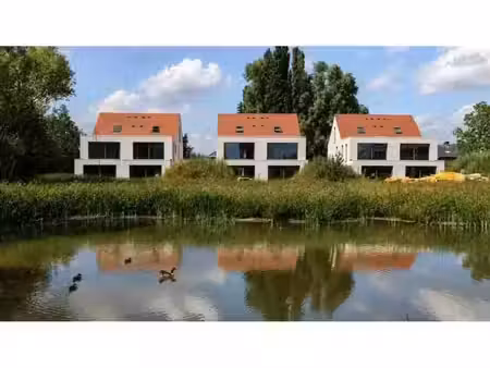 maison à vendre à biesaard duffel (rbw97107)