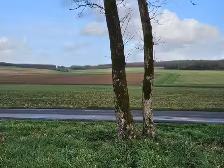 grand terrain constructible au calme