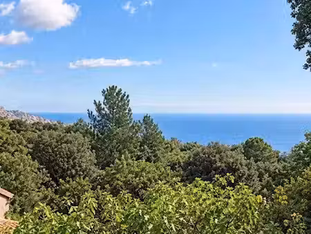 vente maison 5 pièces à porto-vecchio (20137)  750 000 €