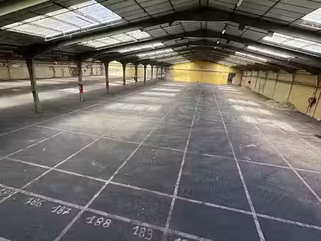 vente locaux professionnels 1375 m² à canteleu (76380)  1 200 000 €