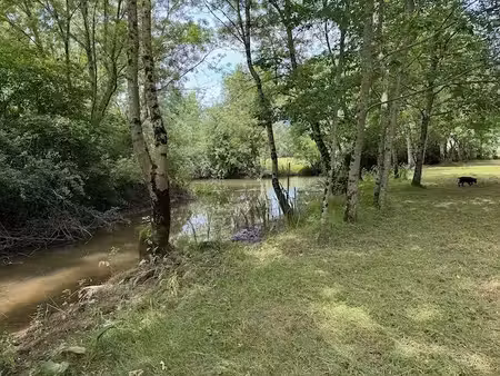 vente maison thiré (85210)
