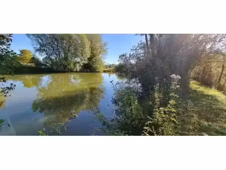 vente terrain 6000 m² cuy (89140)