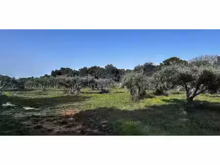 terrain uzès (30)