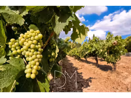 au coeur du var - vente domaine victicole