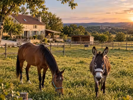 recherche maison à vendre