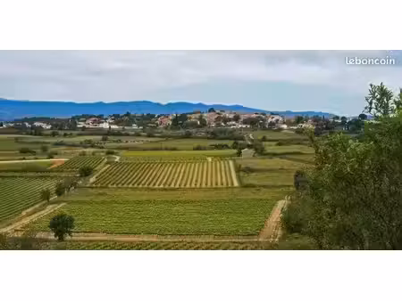 terrain 868 m² pailhes