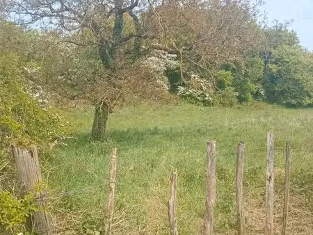 terrain à vendre