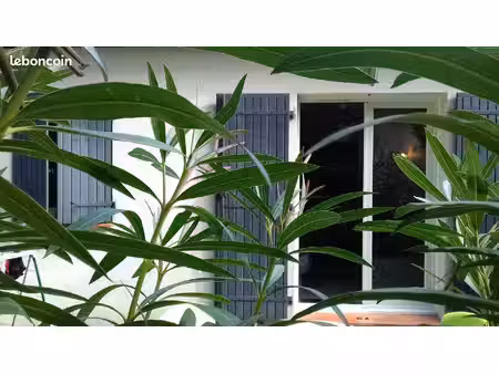 appart - maison t2 - avec clim et jardin
