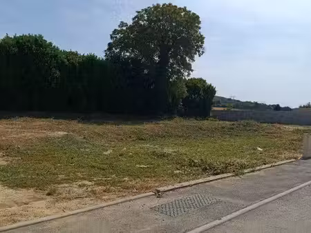 beau terrain viabilisé