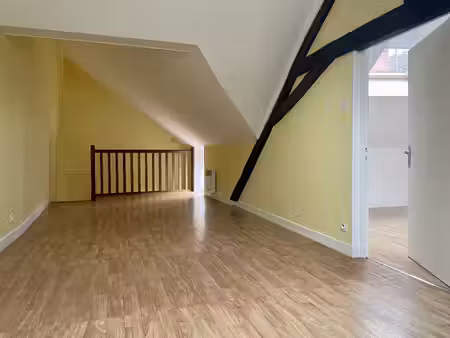 loue bel appartement en duplex quartier d'auron