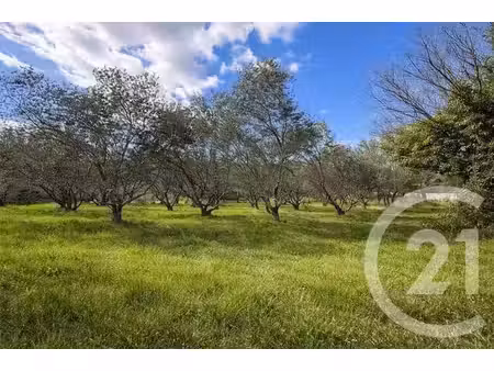 terrain à vendre - 1852 m2 - moules et baucels - 34 - languedoc-roussillon