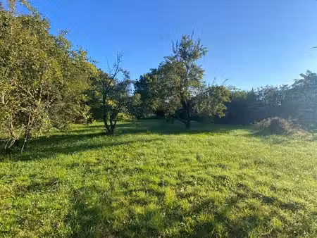 terrain 1000 m2 saint consorce