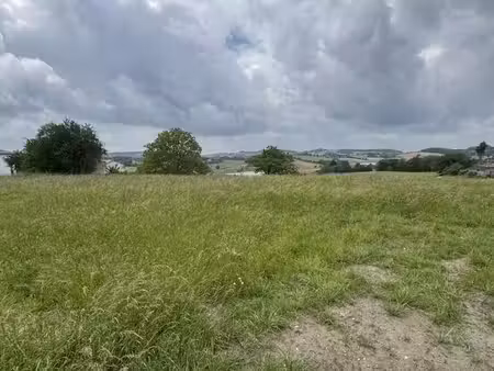 terrain à vendre - 1453 m2 - labessiere candeil - 81 - midi-pyrenees