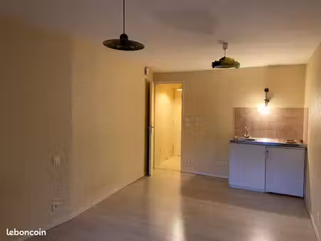studio 1 pièce 21 m²