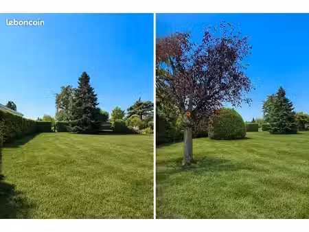 joli terrain au calme