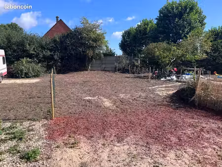 terrain