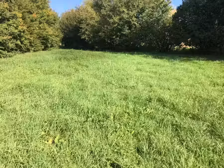 vente terrain 580 m² à saint-cyr-sur-menthon (01380)  49 000 €