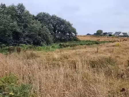 vente terrain 461 m² à lannilis (29870)  75 000 €