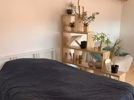 studio 23 m2