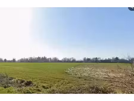 vente terrain 318 m² à norolles (14100)  53 796 €