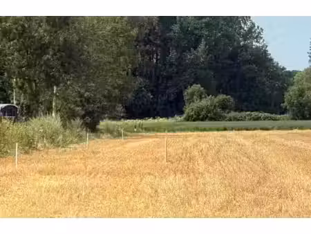 vente terrain 1104 m² à villers-sur-authie (80120)  57 750 €
