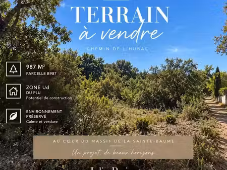 vente terrain 987 m² à plan-d'aups-sainte-baume (83640)  60 000 €