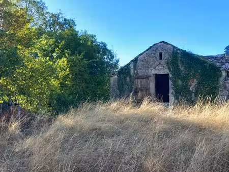 exclusivité magnifique grange caussenarde