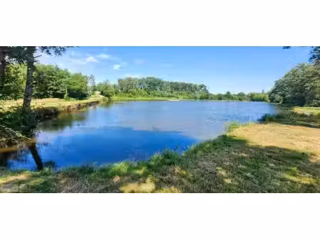 terrain à vendre
