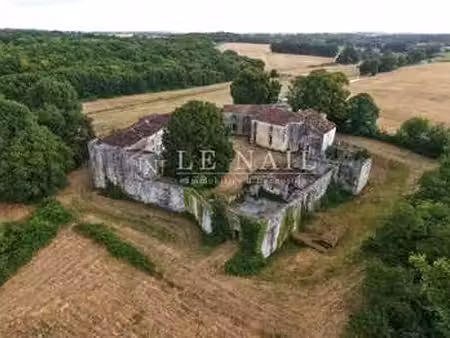 vente demeure d'exception à saintes (17100) : à vendre / 700m² saintes