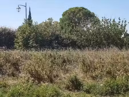 vente terrain 753 m² à althen-des-paluds (84210)  175 000 €