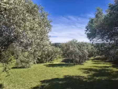vente terrain 885 m² à apt (84400)  150 000 €