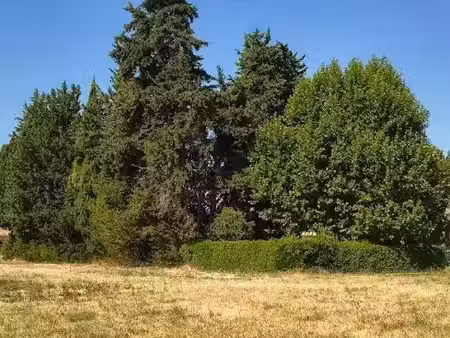 vente terrain 980 m² à caromb (84330)  198 000 €