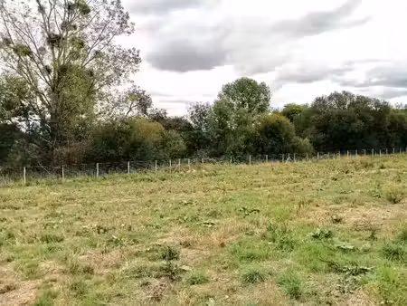 vente terrain 556 m² à les herbiers (85500)  83 400 €