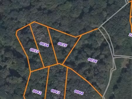 vends parcelles / forêt boisée 1 1 ha