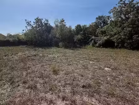vente terrain 519 m² à noe (31410)  86 000 €