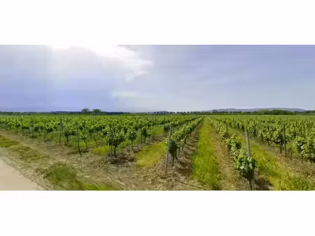 vente terrain 335 m² à pia (66380)  100 000 €