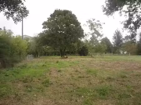 vente terrain à batir 1398 m² à béguey (33410)  107 000 €