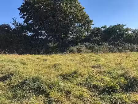 vente terrain 516 m² à brest (29200)  112 000 €