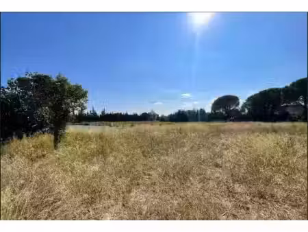 vente terrain 1372 m² à lézignan-corbières (11200)  118 000 €