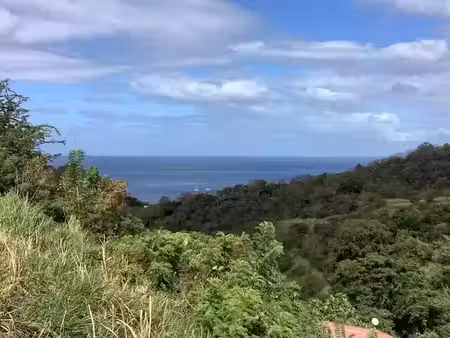 vente terrain à batir 1001 m² à le carbet (97221)  117 000 €