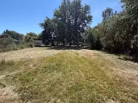vente terrain 1000 m² à muret (31600)  169 000 €