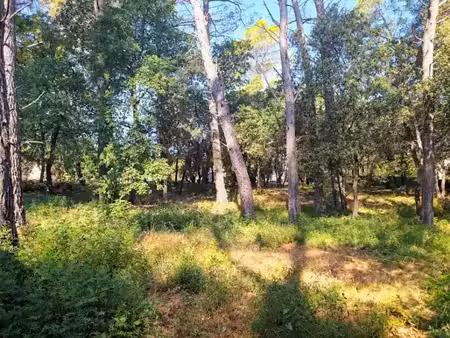 vente terrain 732 m² à le thoronet (83340)  169 000 €