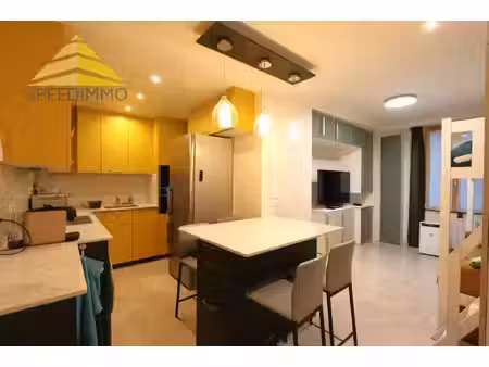 location appartement 1 pièce 27 m² à mandres-les-roses (94520)