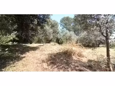 vente terrain 1000 m² à pélissanne (13330)  250 000 €