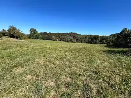 vente terrain 7461 m² à montignac (65690)  216 000 €