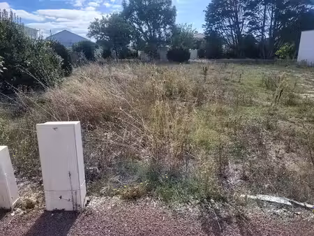 vente terrain 453 m² à vaux-sur-mer (17640)  329 000 €