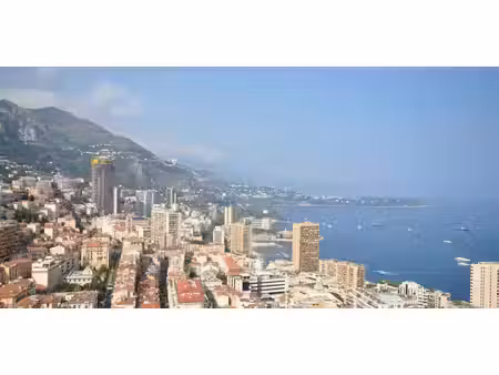 appartement monaco (98)